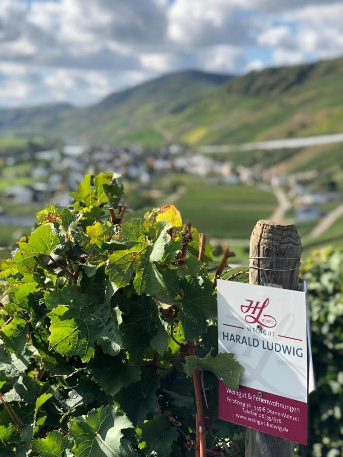Weingut Harald Ludwig Leilighet Osann-Monzel Eksteriør bilde